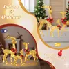 LEADZM 3-teiliges Weihnachtsbeleuchtung Rentier Goldenes, Produktbild-Vorschau 3