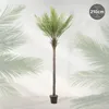 ML-Design Umelá palma 210 cm, tropická umelá palma, umelá Náhľad obrázku produktu 2