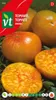 Graines de tomate ananas - Env. 0,2 g | VT_904 Voir les images du produit 1