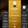 Guirlande lumineuse Evura Goods pour l'extérieur – Voir les images du produit 2