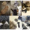 Purlov Kamm für Hunde und Katzen, 1 Stück Produktbild-Vorschau 5