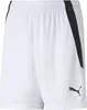 Spodnie Puma 70493104 Podgląd zdjęcia produktu 1
