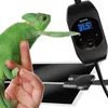 A green chameleon is perched on a person's finger, reaching towards a black electronic device with a blue digital display showing '31.5°'. Below the device is a black heating mat. Voir les images du produit