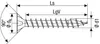 A technical drawing of a screw with dimensions and labels. Anteprima dell’immagine prodotto