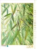 Calvendo Grüner Bambus Nr. 2 1000 Teile Puzzle hoch Produktbild-Vorschau 3