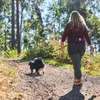 Non-stop dogwear Laufgurt Trekking Belt 2.0 schwarz/grau, Produktbild-Vorschau 14