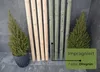 TIMBERMIK ø 5cm 4-Pack Paletti di Legno a Punta Lunghezza: Anteprima dell’immagine prodotto 5