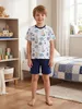 TupTam Kinder Jungen Pyjama Schlafanzug Set Kurzarm Produktbild-Vorschau 4