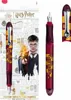 A Harry Potter themed fountain pen and its packaging, featuring Gryffindor colors and imagery of Harry Potter. Podgląd zdjęcia produktu