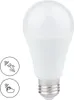 Lampadina LED 6W E27 calda 3000K Eko-light EK8047 bianca Anteprima dell’immagine prodotto 1