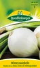 Quedlinburger Saatgut - Winter-Zwiebeln Blanca de la - Produktbild-Vorschau 1