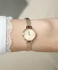 Daniel Wellington hodinky DW00100741 Productafbeelding-voorbeeld 11