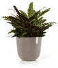 Ecopots Oslo, Grau, Kunststoff, 45 cm, 392 mm, 4,6 kg, 1 Produktbild-Vorschau 2