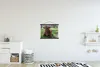 MuchoWow® Textilposter Schottischer Highlander - Kröte - Produktbild-Vorschau 2