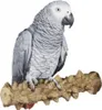 Pepperwood XL papegaaienstang voor grote papegaaien, Productafbeelding-voorbeeld 1