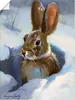 ARTland Poster Schneehase Größe: 90x120 cm Produktbild-Vorschau 1