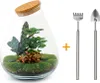 Diy Terrarium - Drop Xl Rood - ↕ 37 Cm Podgląd zdjęcia produktu 4