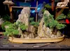 Aquarium Deko Steine 15 kg Schiefer Natur Produktbild-Vorschau 11