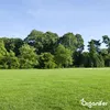 Schattenrasen Samen Elegant - 1 kg = 50 m2 – Rasensaat Für Produktbild-Vorschau 7