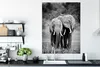 MuchoWow® Poster Elefanten in Kenia - schwarz und weiß Produktbild-Vorschau 3