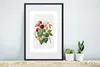 MuchoWow® Gerahmtes Poster Himbeeren - Obst - Lebensmittel Produktbild-Vorschau 4
