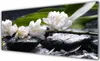 Glasbilder 125x50 Wandbild Druck auf Glas Blumen Steine Produktbild-Vorschau 1