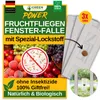 Fenster Fruchtfliegenfalle mit Spezial-Lockstoff – 3x Produktbild-Vorschau 1
