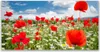 Acrylglasbilder 120x60 Wandbild Druck Wiese Blumen Natur Produktbild-Vorschau 1