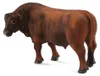 Collecta 88508 Taureau Agnus rouge 12 cm Animaux sauvages Voir les images du produit 2