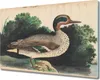 Coloray Herdabdeckplatte 80x52 cm Schneidebrett Produktbild-Vorschau 1