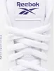 Reebok Court Clean M 100074368 Schuhe Pullunder Reebok Produktbild-Vorschau 11