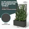 XL Gartenspalier 'Ethica' mit Pflanzkübel Breit 80x36x140 Produktbild-Vorschau 2