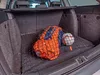TrunkExpert Kofferraum Netz Auto für Subaru Forester V ab Produktbild-Vorschau 2