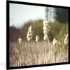 MuchoWow® Gerahmtes Poster Baumwolle - Sonne - Pflanzen Produktbild-Vorschau 1