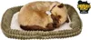 Perfect Petzzz 92578 Siam-Kätzchen Produktbild-Vorschau 7