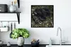 MuchoWow® Gerahmtes Poster Affen - Schlaf - Wald 40x40 cm - Produktbild-Vorschau 3
