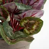 Mica Decorations Fiore artificiale di ciclamino - 30x30x30 Anteprima dell’immagine prodotto 11