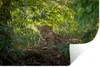 MuchoWow® - Selbstklebend - Fototapeten Produktbild-Vorschau 1