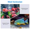 Kleiner digitaler Temperaturfühler für Aquarien – Produktbild-Vorschau 5