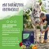 Bozmerix - rewolucyjny lek przeciwzapalny i zapewniający Podgląd zdjęcia produktu 4