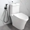 A modern toilet with a bidet sprayer attached to the wall next to it. Podgląd zdjęcia produktu
