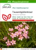 SAFLAX - Tausendgüldenkraut - Centaurium erythraea - 250 Produktbild-Vorschau 1