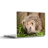 MuchoWow® Laptop Aufkleber Sticker Cover Igel für Produktbild-Vorschau 1