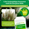 Purgrün Pampasgras-Dünger 1 Liter, Produktbild-Vorschau 4
