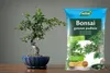 A bonsai tree in a blue pot sits next to a bag of bonsai soil on a wooden surface. Produktbild-Vorschau