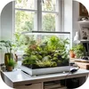 A terrarium with plants on a desk next to a window. Anteprima dell’immagine prodotto