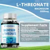 Magnesio L-treonato 2000 mg (3x120 capsule) Integratore Anteprima dell’immagine prodotto 3