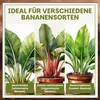 Green Home Bananenerde 36 L – für Bananen & Tropenpflanzen, Produktbild-Vorschau 3