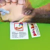 Mascha und Bär Pool mit Luftballons Produktbild-Vorschau 7