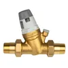 A brass pressure reducing valve with a gray and white adjustment cap, isolated on a white background. Anteprima dell’immagine prodotto